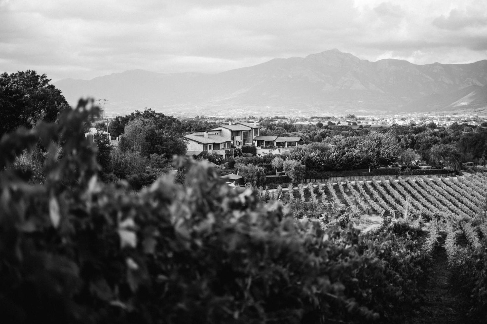 Tenuta Pezzapane Farm stay Alvignanello